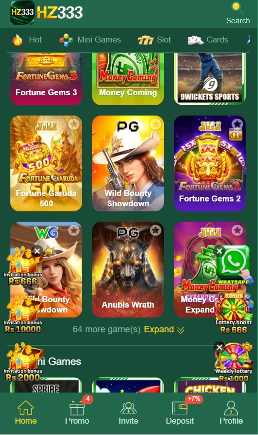 hz333 game dashboard screenshot